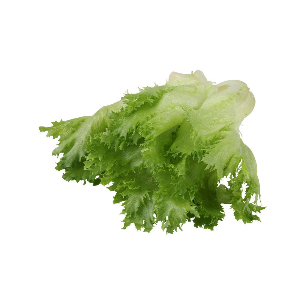 沖繩水耕栽培Frill生菜  (1pack)