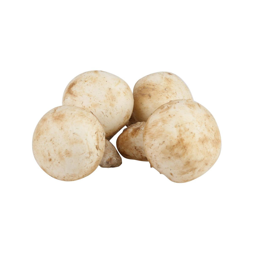 BRUNO CALEGARI 法國白巴黎蘑菇  (500g)