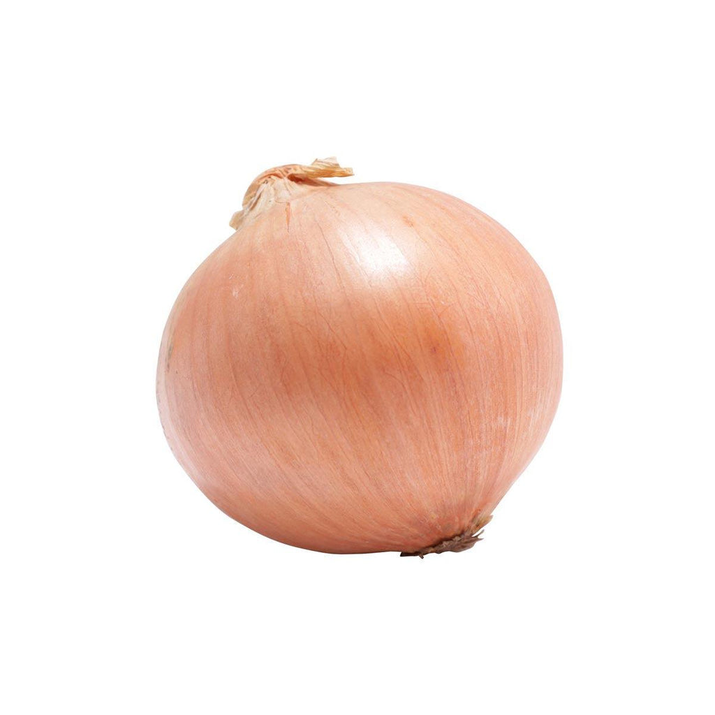 日本有機洋蔥  (600g)