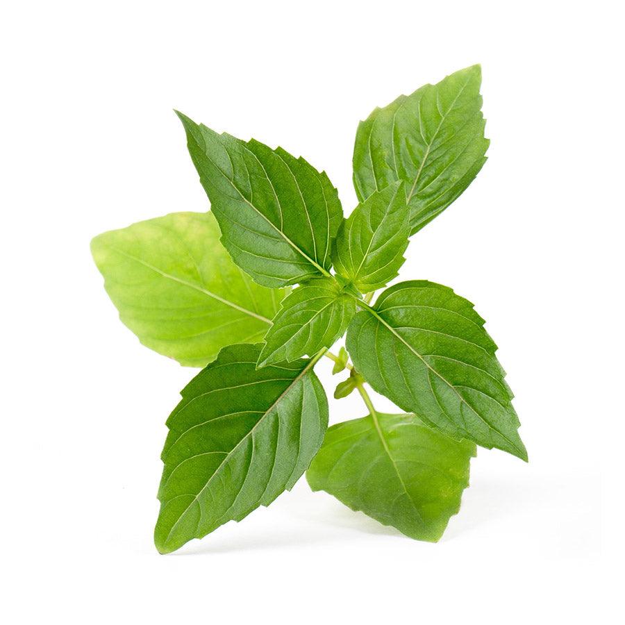 FARMACY 本地新鮮泰國羅勒  (1pack)