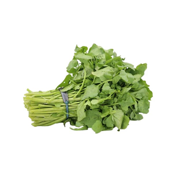 中國西洋菜 (1pack)