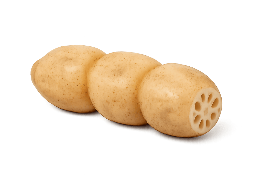 中國蓮藕  (1pack)