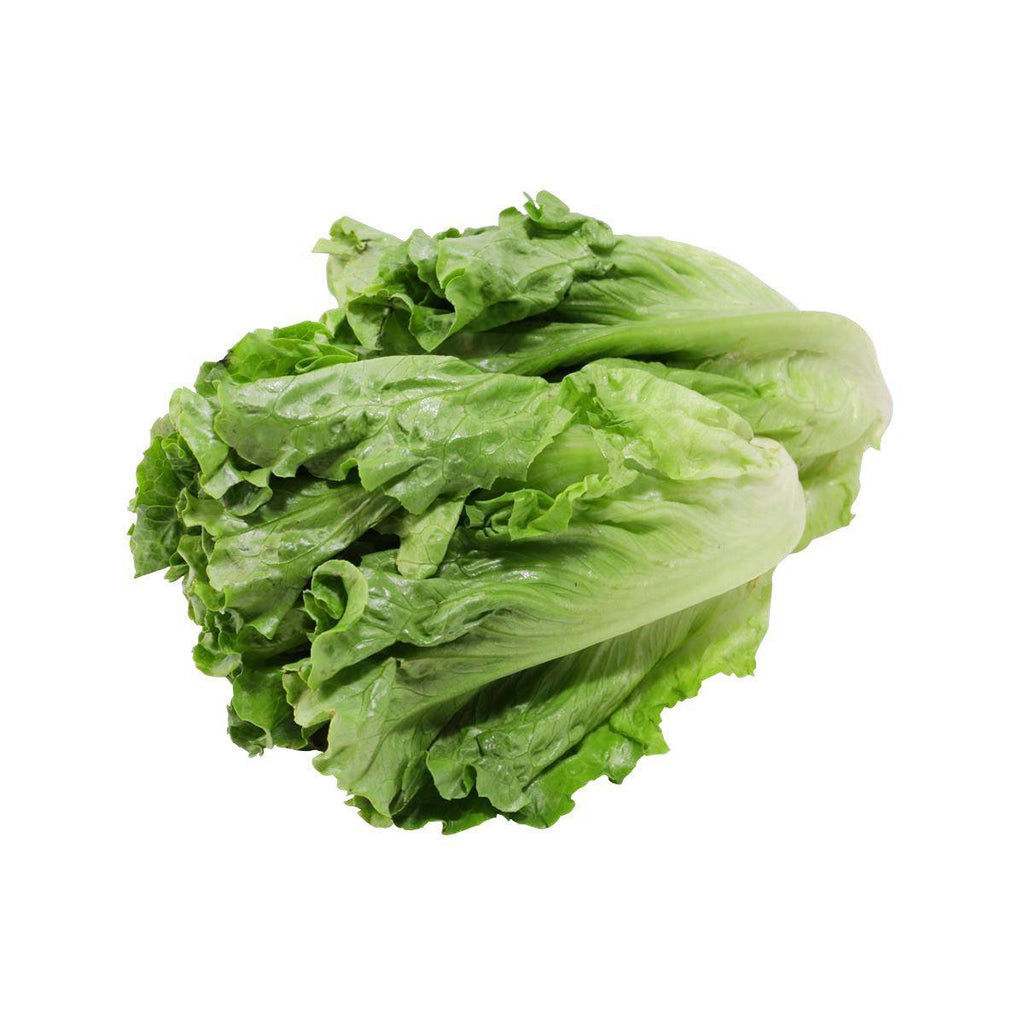 中國有機生菜 - 不使用化學肥料及農藥 (250g)