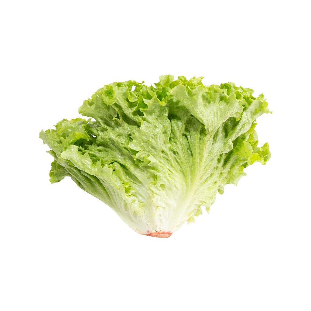 法國沙律菜  (600g)