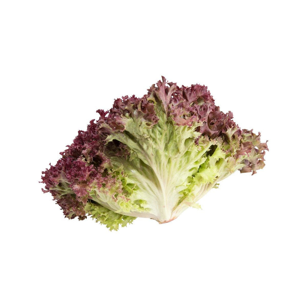 法國紅葉生菜  (170g)