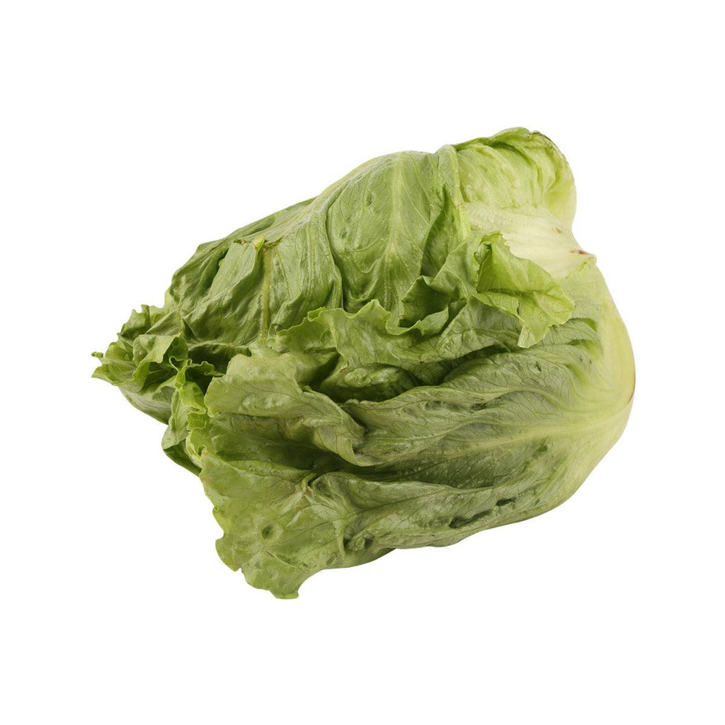 日本生菜  (600g)