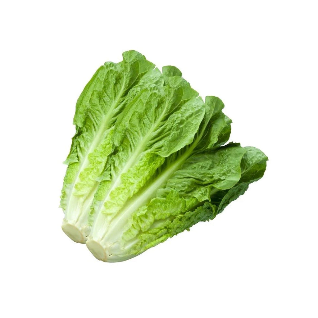 美國有機羅馬生菜  (600g)