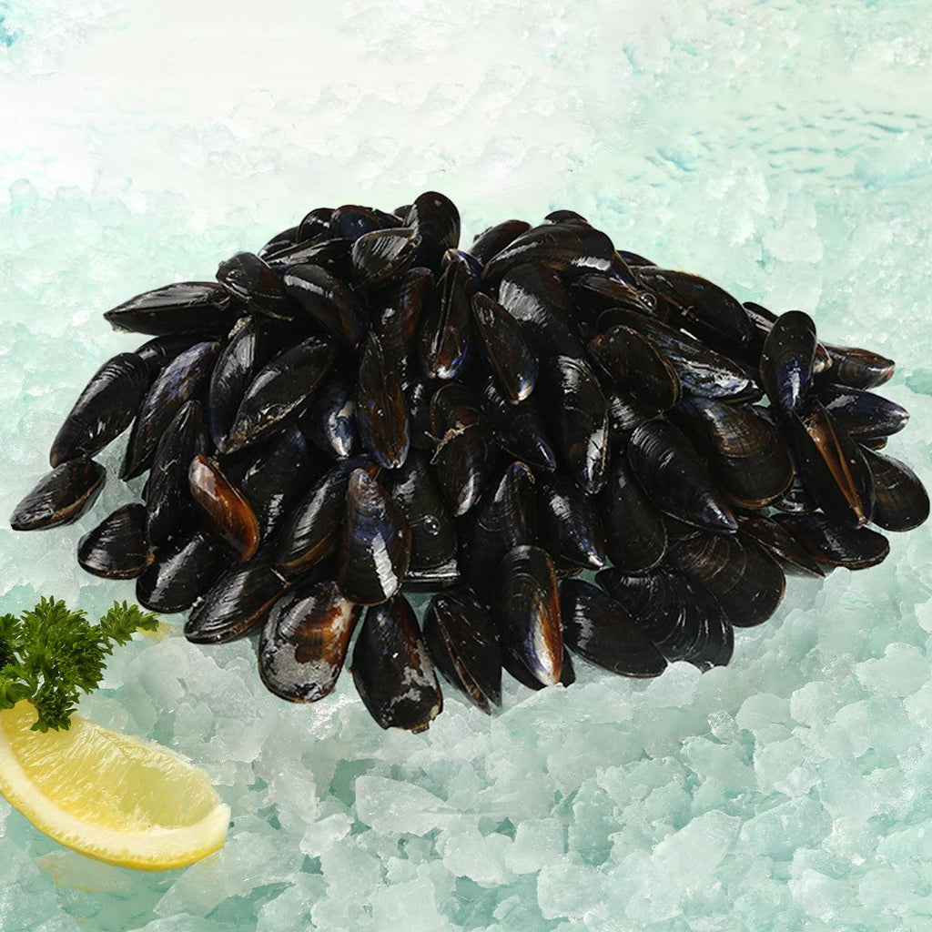 HOLLAND ROYAL 荷蘭活青口 (珍寶)  (1kg)