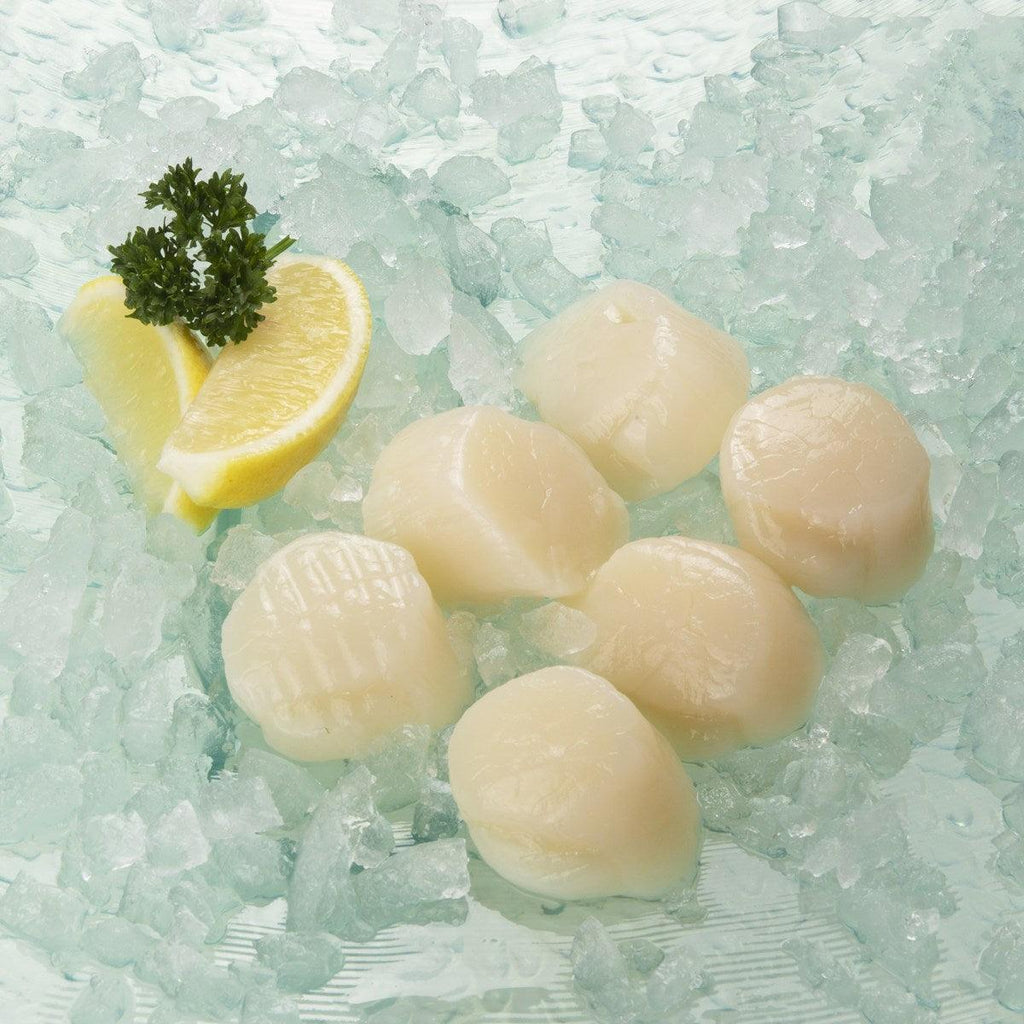 日本北海道帶子U15-煮食用[經解凍處理]  (220g)
