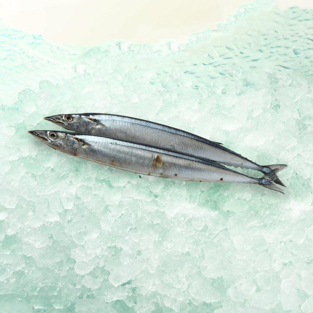 日本青森縣秋刀魚(2條裝) [經解凍處理]  (2pcs)