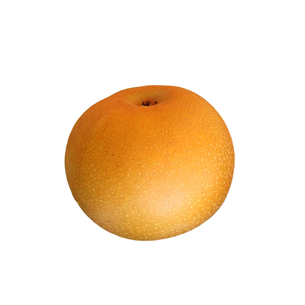日本秋月梨 (大玉)  (1pc)